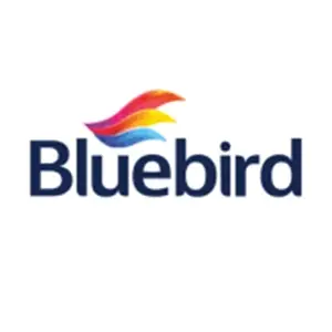 Bluebird
